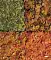 Tetra Menu 4in1 корм рыб 4 вида корма. хлопья #2